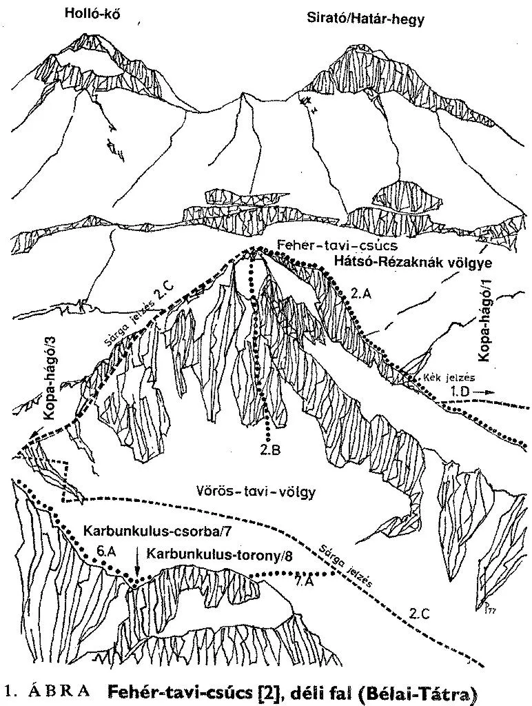 Fehér-tavi-csúcs, D-i fal
